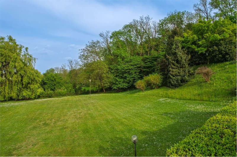 Bellissima villa immersa nel verde, con ampi spazi esterni, piscina e (9)