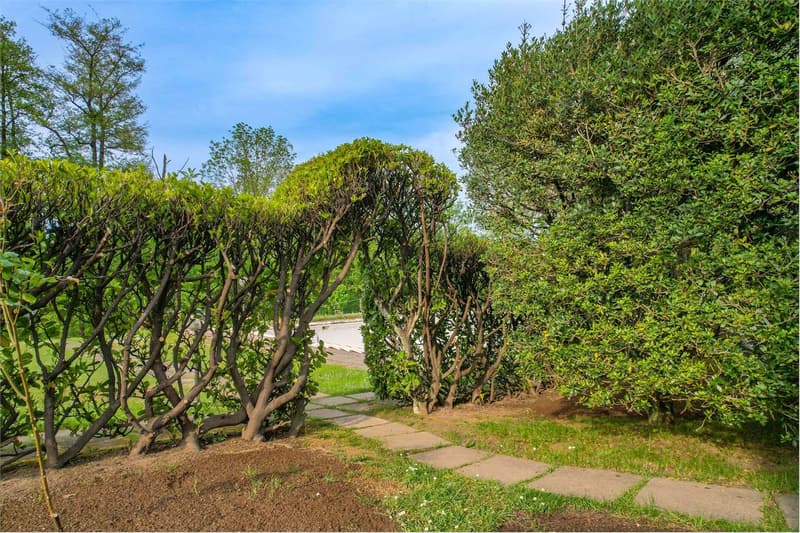 Bellissima villa immersa nel verde, con ampi spazi esterni, piscina e (5)