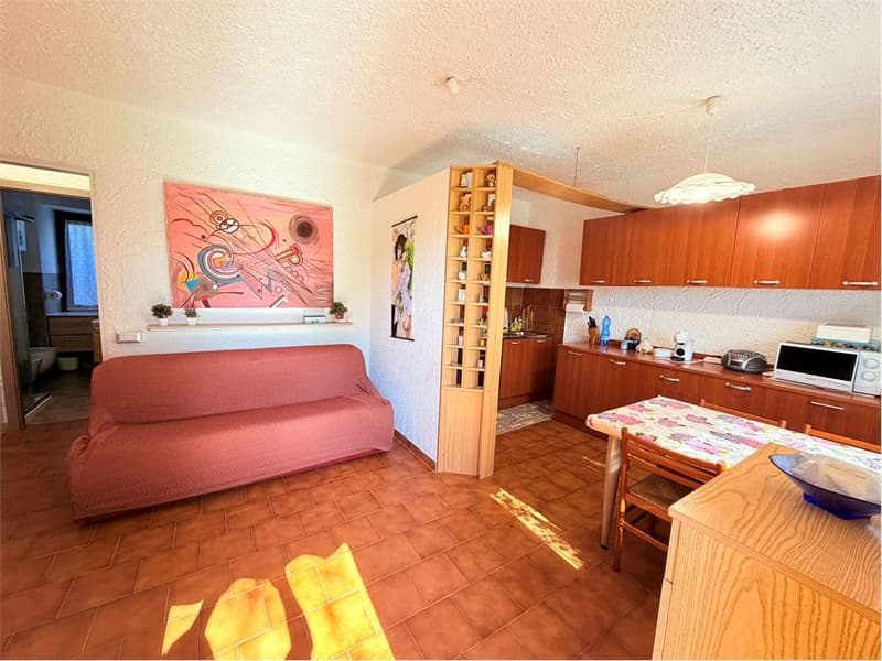 Grazioso bilocale con terrazza, piscina e garage (2)