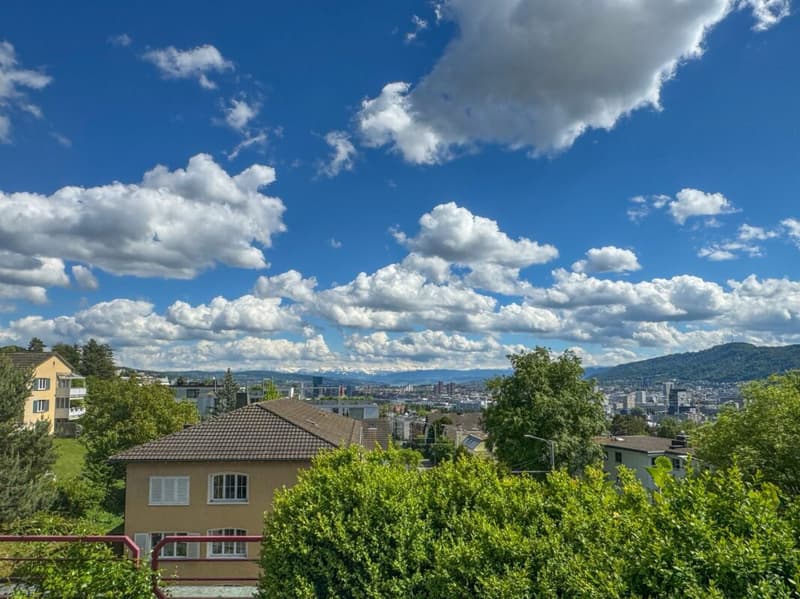 Appartamento attico 4½ locali sopra i tetti di Zürich Höngg (1)