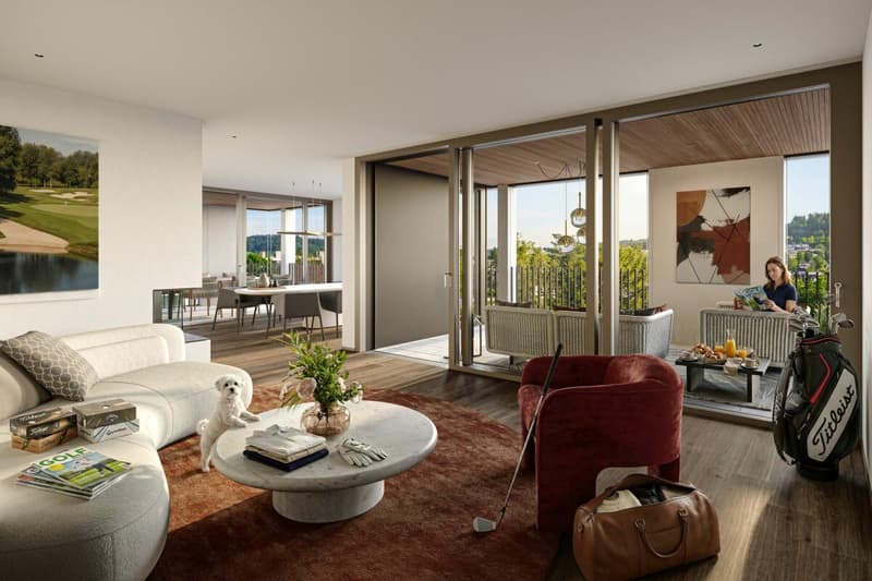 Traumhafte 4½-Zimmer Attikawohnung mit Panoramasicht. (2)