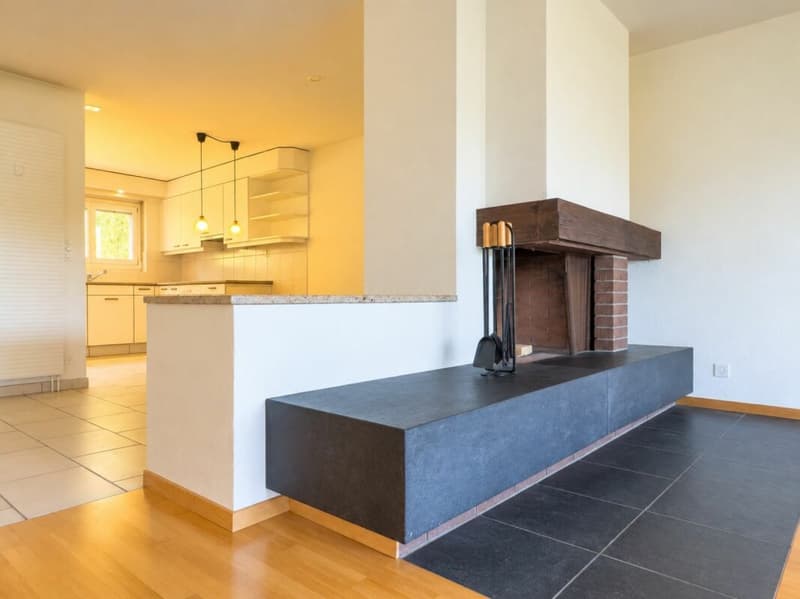 4½-Zimmer Wohnung mit separatem Studio. (3)