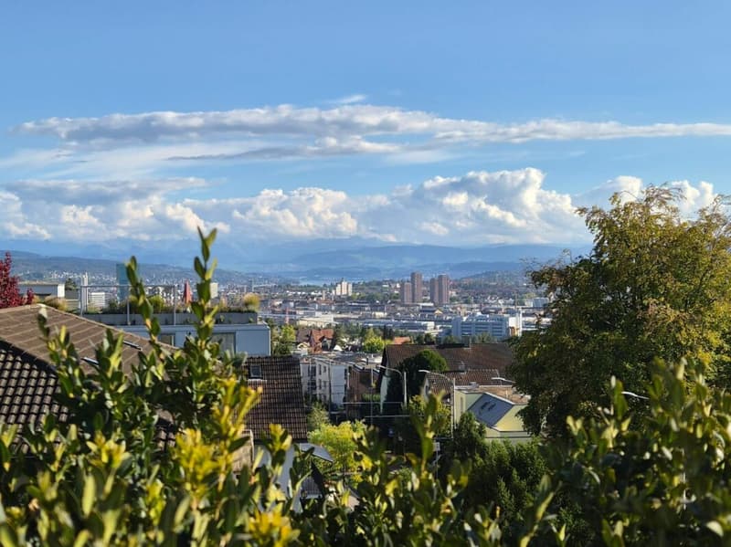 4½-Zimmer Attikawohnung über den Dächern von Zürich Höngg. (1)