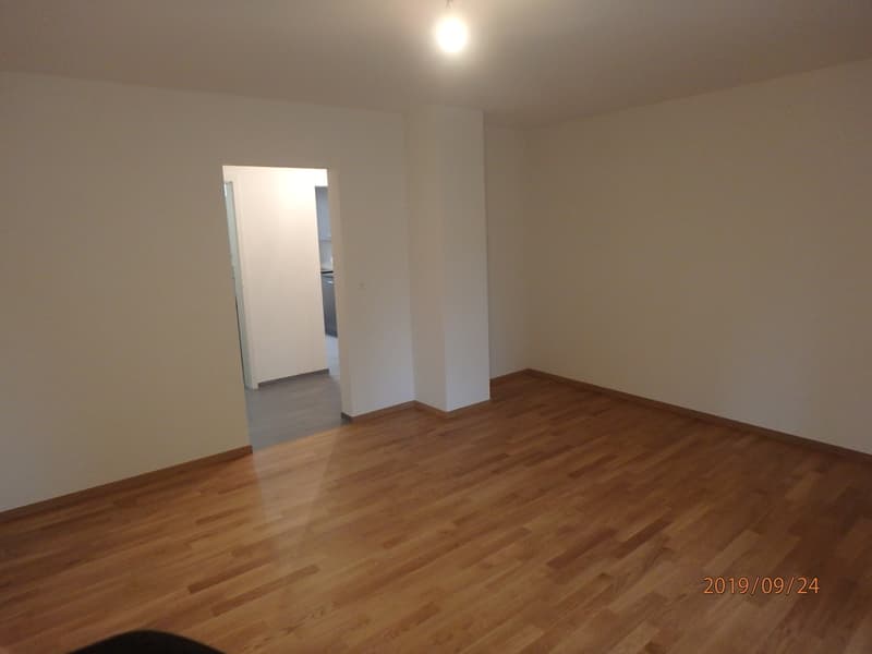 Wohnzimmer (2)