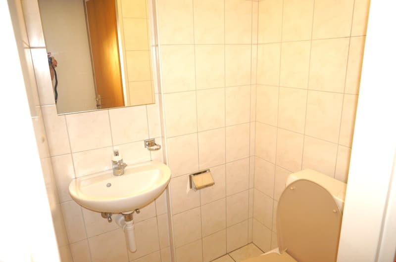 white tiled walls, white sink, mirror, toilet, toilet paper holder