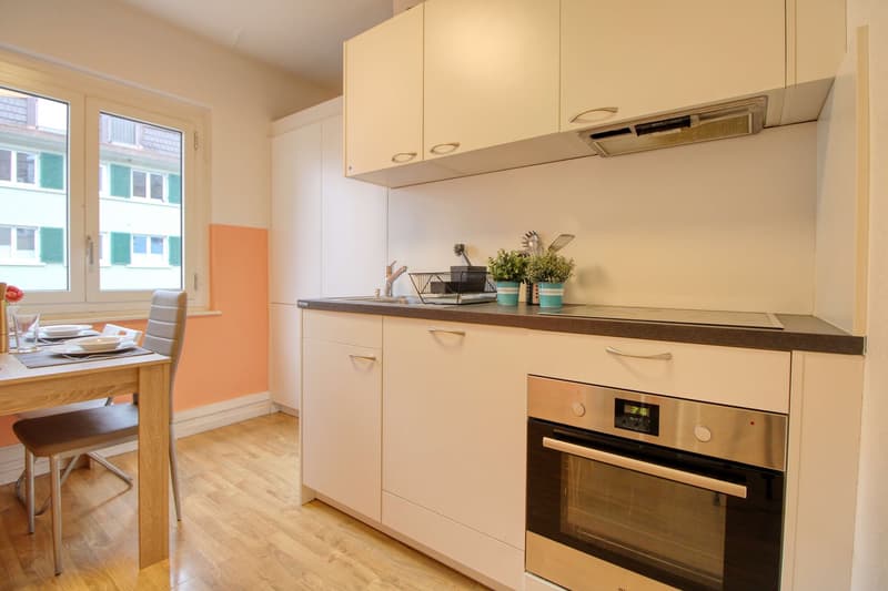 Room in Flatshare near Oerlikon (8)