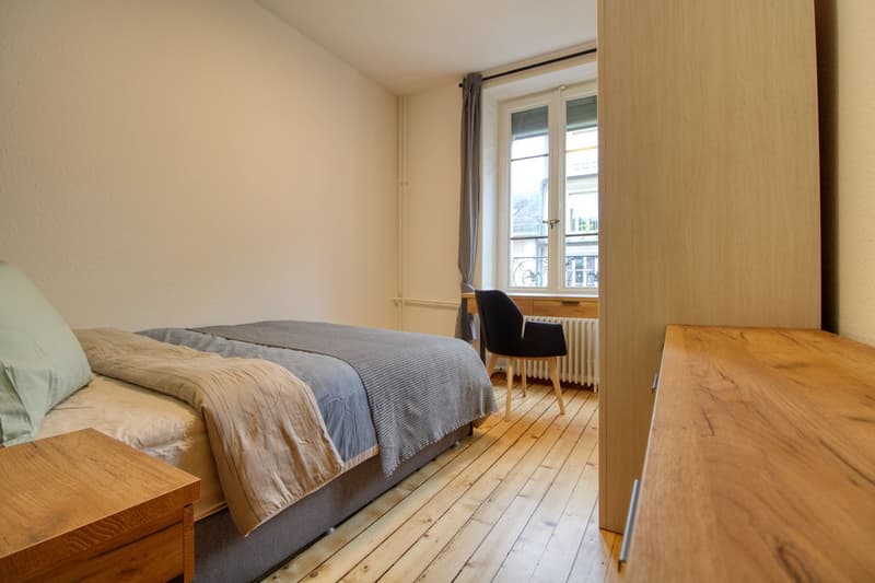 Magnifique appartement meublé en colocation, hypercentre de Genève (1)