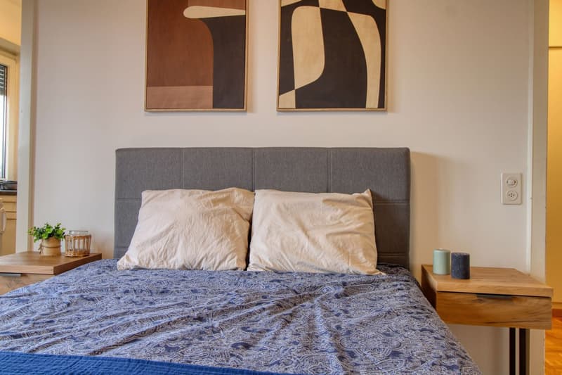 Bedroom with a double bed, two pillows, nightstands, wall art, and a potted plant.