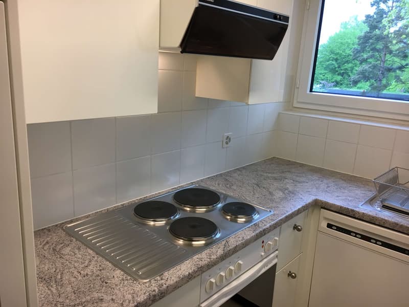 modern kitchen, electric stove, granite countertop, white cabinets, window with outdoor view