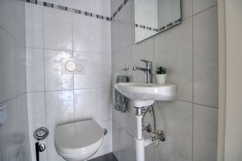 white tile, white toilet, white sink, small potted plant