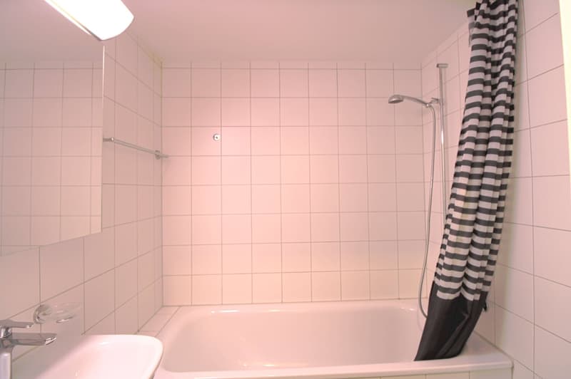 Modern eingerichtetes Studio in Basel (6)