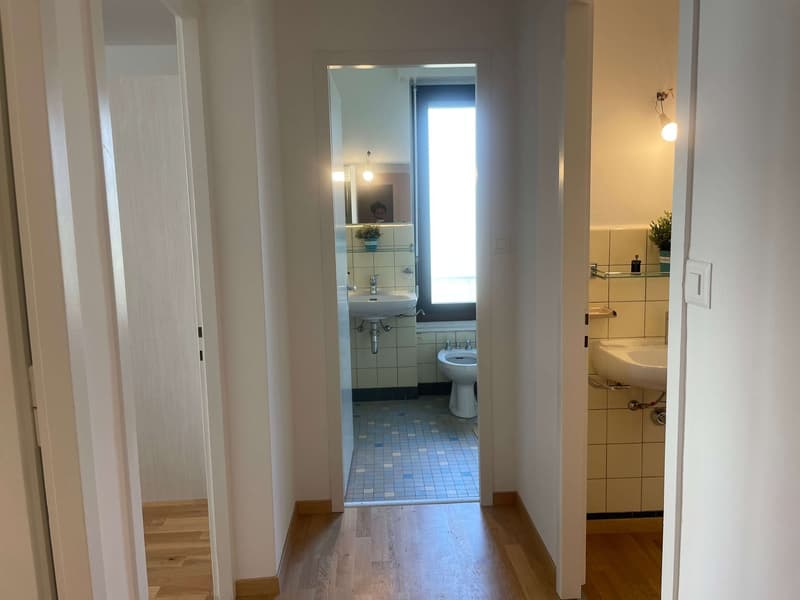 Bathroom with sink, toilet, and shower, wooden floor, white walls, mirror, and plants
