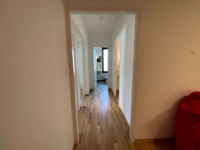 Empty hallway with wooden floor, white walls, and doors on both sides.