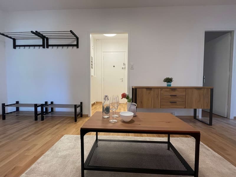 modern living room with wooden floor, white walls, wooden coffee table, white rug, wooden cabinet, white bowl, wine glasses, flower vase, bottle, metal shelves