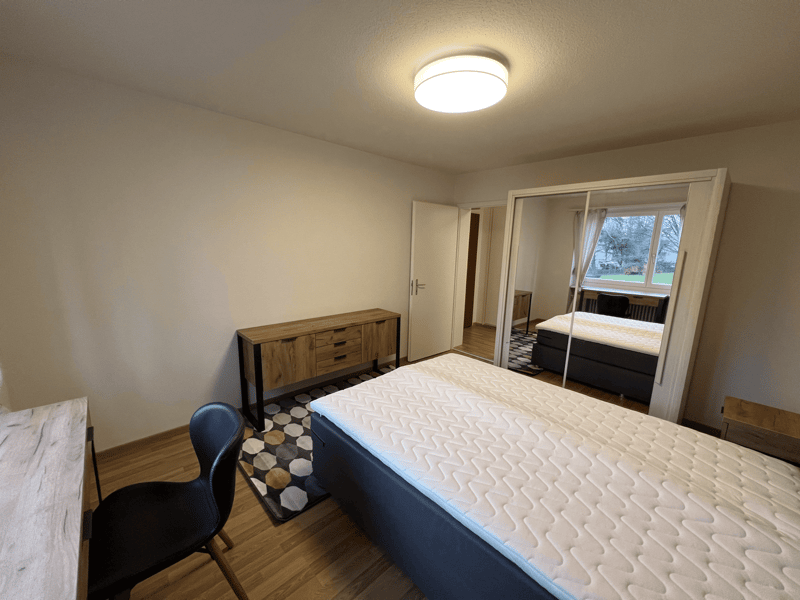 Bedroom with bed, desk, chair, cabinet, rug, and mirror.