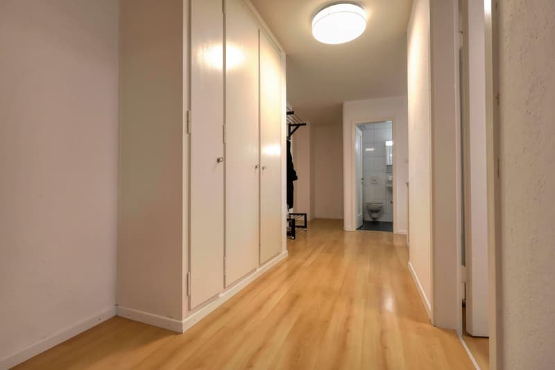 Empty hallway with wooden floor, white walls, large wardrobe, and a bathroom with toilet and shower.