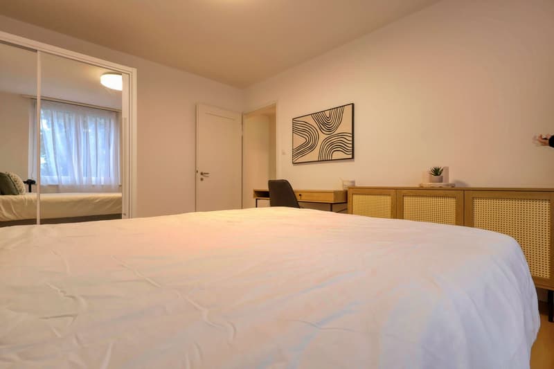 Bedroom with a large bed, desk, chair, cabinet, and a mirror. A small plant is on the cabinet.