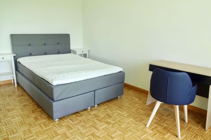 Möbliertes Zimmer in modernisierter Wohnung an top Lage (1)