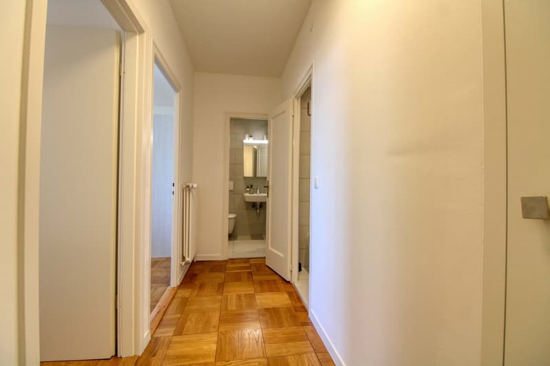 Spacious Coliving with Great Connections in Chêne-Bourg (13)
