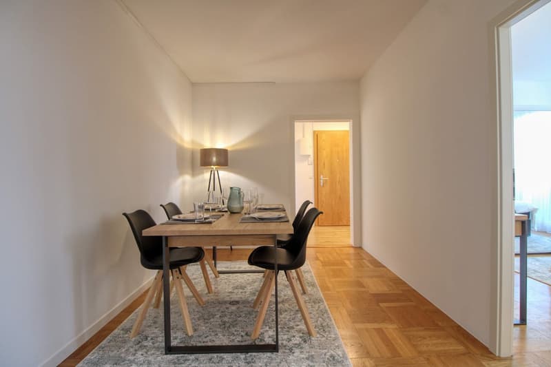 Spacious Coliving with Great Connections in Chêne-Bourg (17)