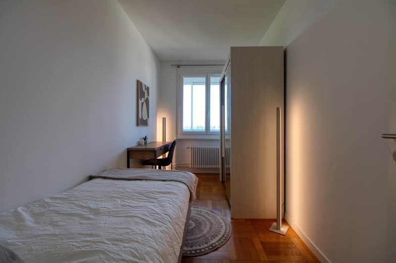 Spacious Coliving with Great Connections in Chêne-Bourg (3)