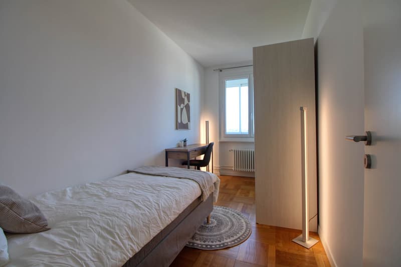 Spacious Coliving with Great Connections in Chêne-Bourg (4)