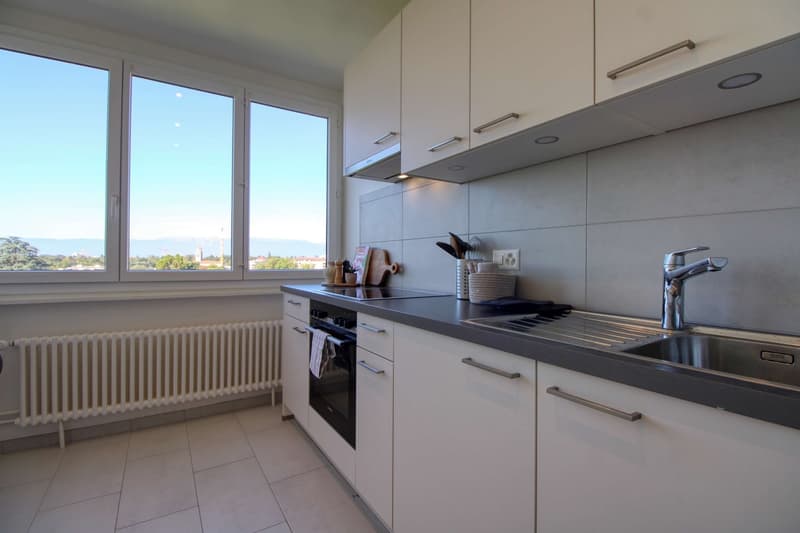 Spacious Coliving with Great Connections in Chêne-Bourg (7)