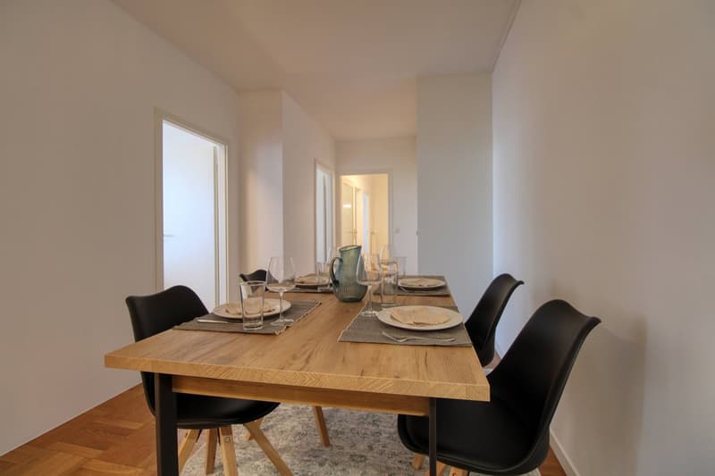Spacious Coliving with Great Connections in Chêne-Bourg (16)