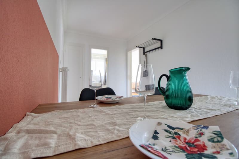 Coliving charmant dans la paisible Avenue de Béthusy à Lausanne (20)