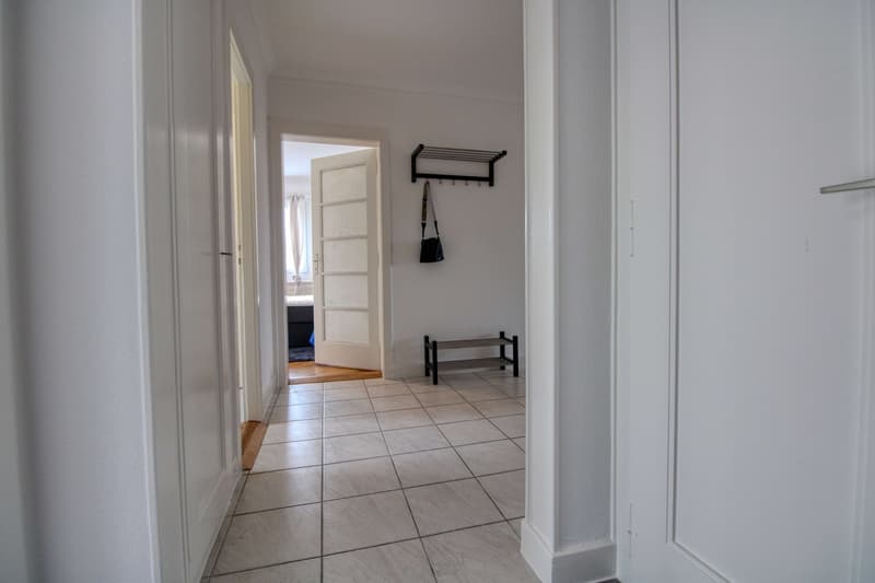 Coliving charmant dans la paisible Avenue de Béthusy à Lausanne (17)