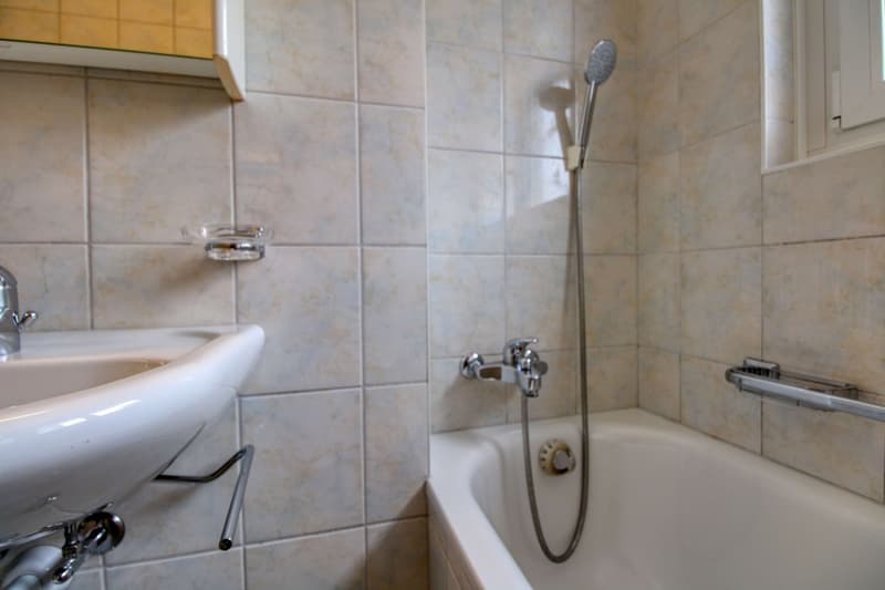 Coliving charmant dans la paisible Avenue de Béthusy à Lausanne (24)