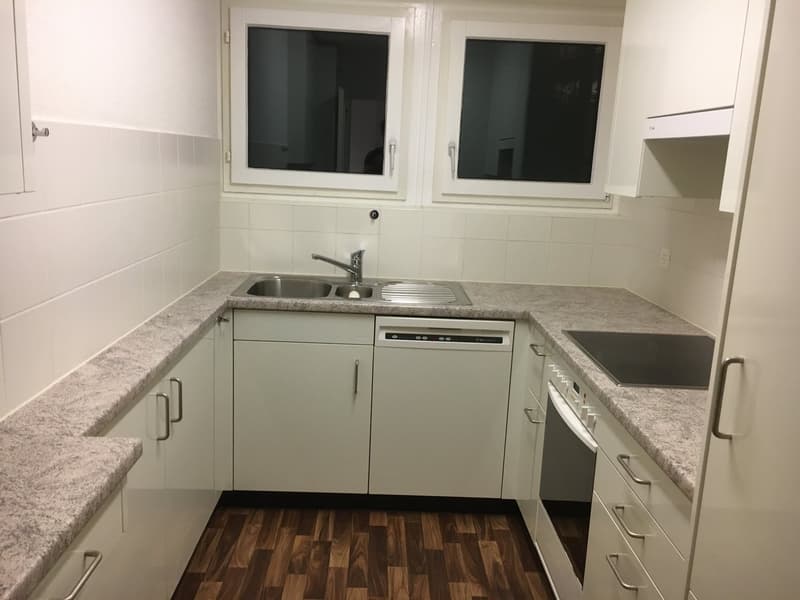 Moder eingerichtetes WG-Zimmer am Schwamendingerplatz (4)