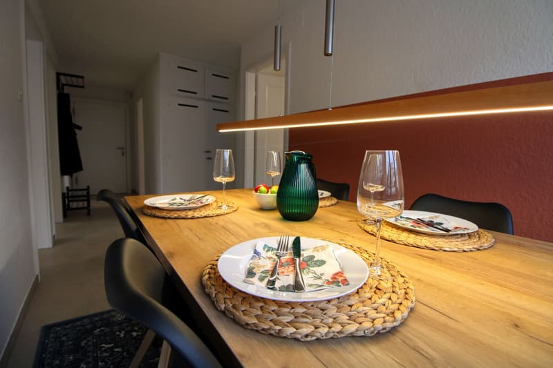 WG Zimmer (21)