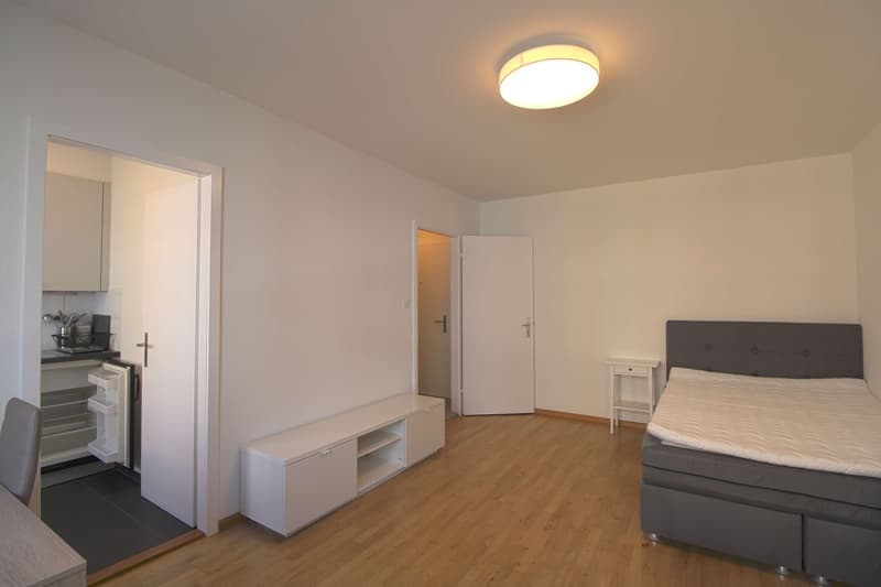 Norma #1 - Modern eingerichtetes Studio in Basel (1)