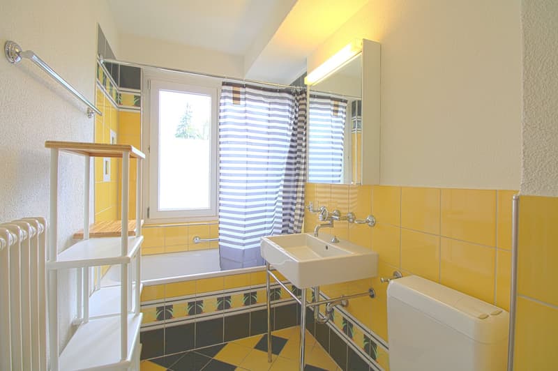 Möbliertes WG-Zimmer in Zürich Seebach (5)