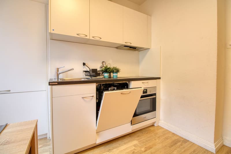 Room in Flatshare near Oerlikon (8)