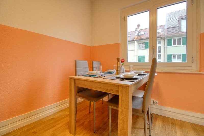 Room in Flatshare near Oerlikon (9)
