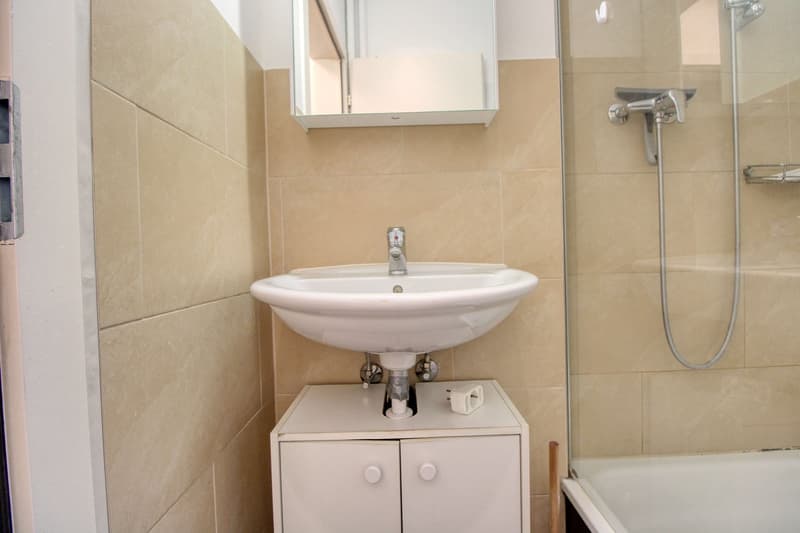 Room in Flatshare near Oerlikon (5)