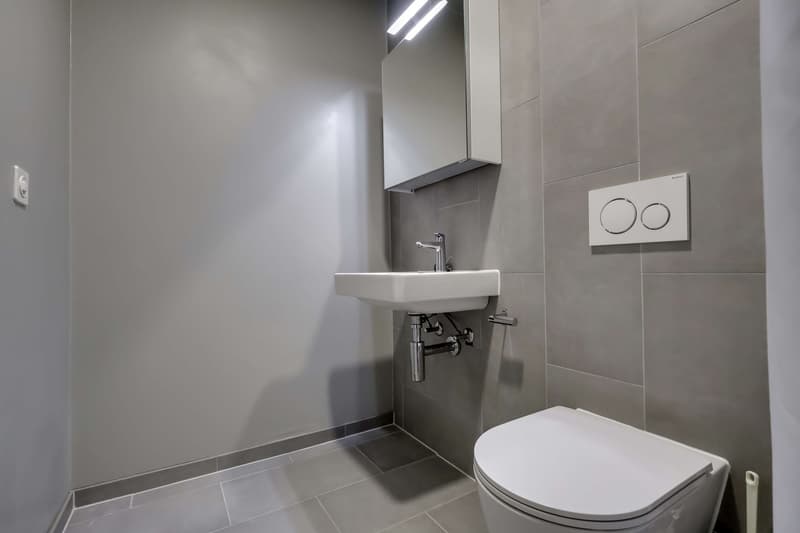 Coliving Alliant Intimité et Vie Partagée au Cœur de Renens (4)