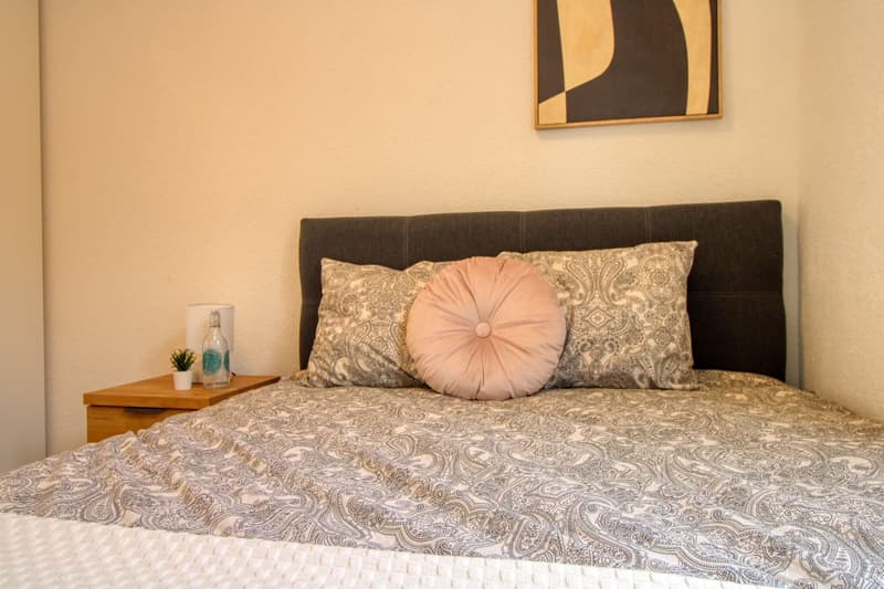 Votre coliving idéal à Lausanne (4)