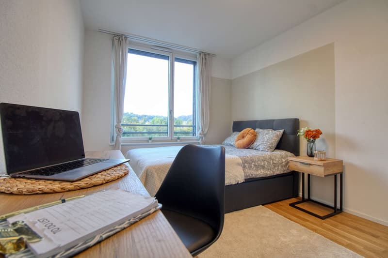 Appartement Coliving Spacieux à Crissier (1)