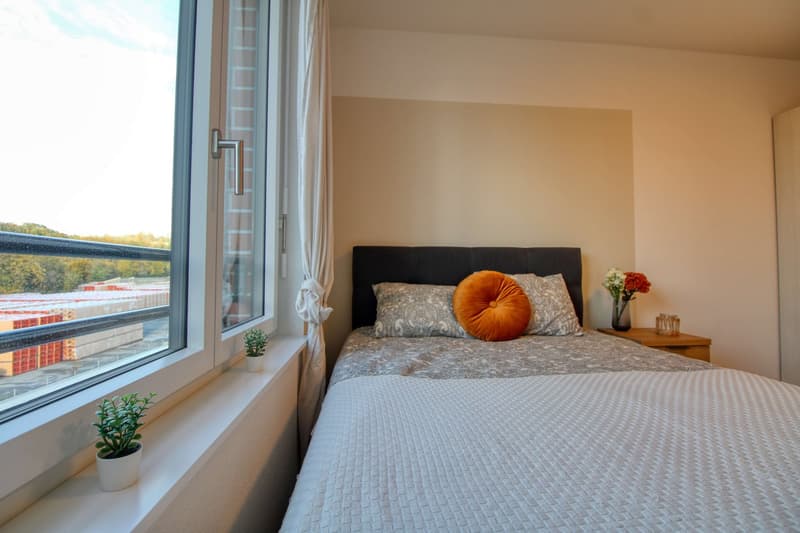 Appartement Coliving Spacieux à Crissier (2)