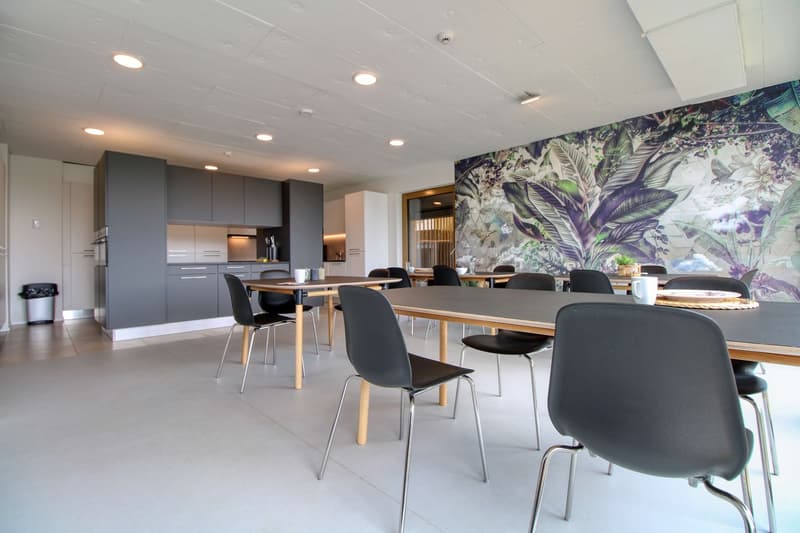 Coliving at Lily : un habitat moderne à proximité de Lausanne, de l'EPFL et de l'UNIL (34)