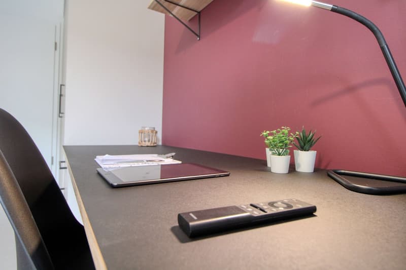 Coliving at Lily : un habitat moderne à proximité de Lausanne, de l'EPFL et de l'UNIL (7)