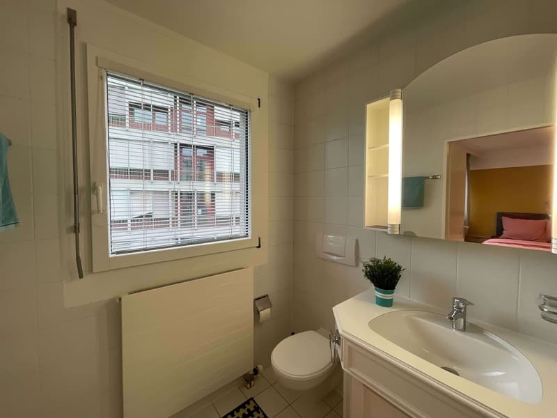 Expérience Élégance Urbaine: Ton Paradis de Coliving à Genève (3)