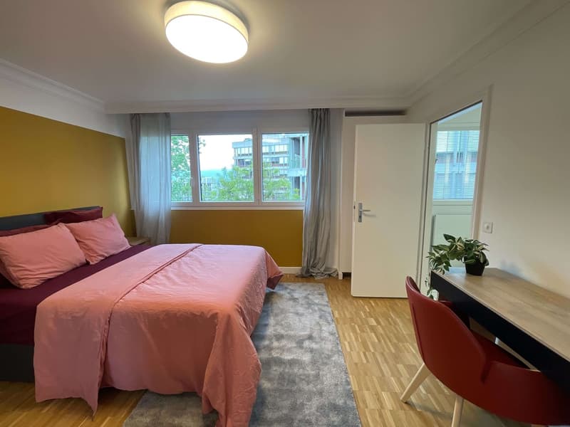 Expérience Élégance Urbaine: Ton Paradis de Coliving à Genève (1)