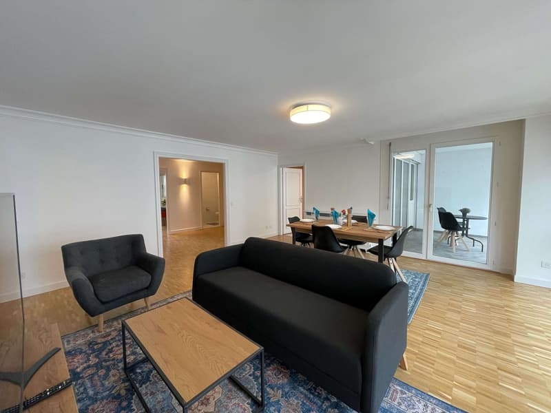 Expérience Élégance Urbaine: Ton Paradis de Coliving à Genève (25)