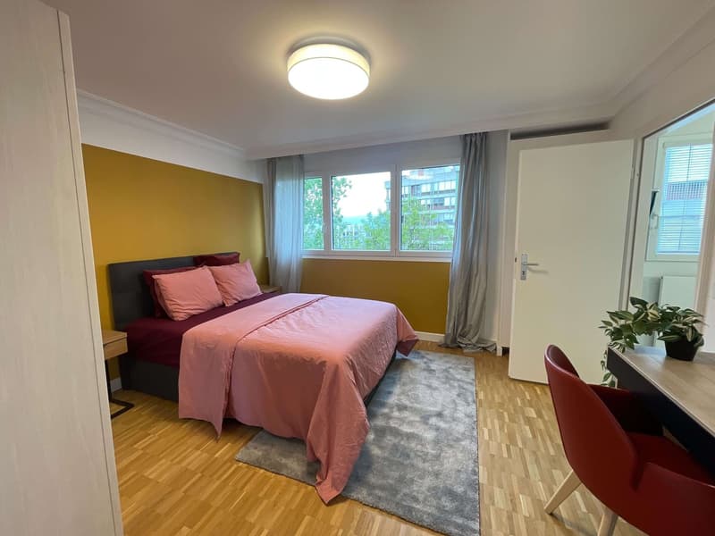 Expérience Élégance Urbaine: Ton Paradis de Coliving à Genève (6)
