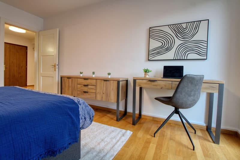 Dein stilvolles Coliving-Zuhause im lebhaften Zürcher Stadtteil Höngg (9)