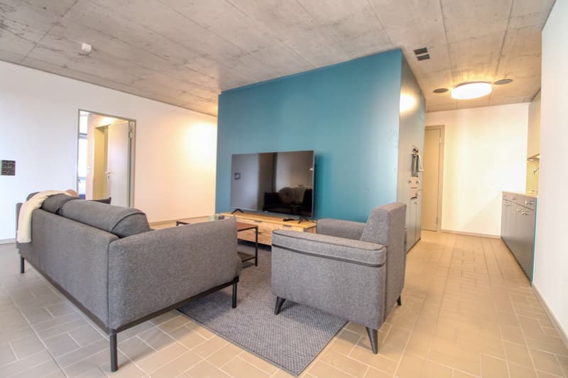 Modernes Coliving im lebhaften Schlieren (28)